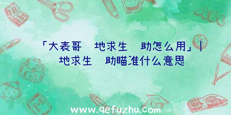 「大表哥绝地求生辅助怎么用」|绝地求生辅助瞄准什么意思